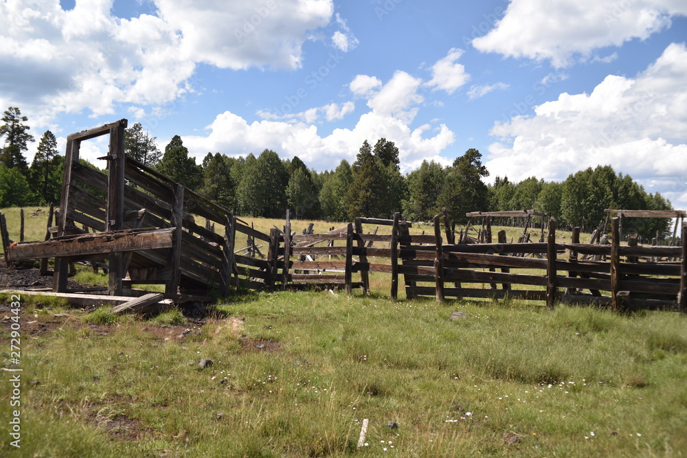 Vintage split-rail cattle corral