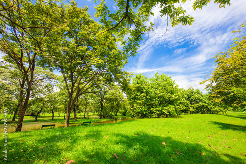 Fototapeta Naklejka Na Ścianę i Meble -  Idyllic nature green meadow with tree in city public park