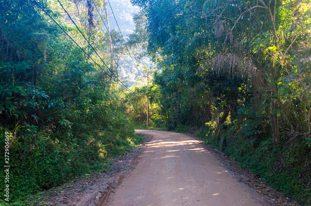 Obraz premium the way