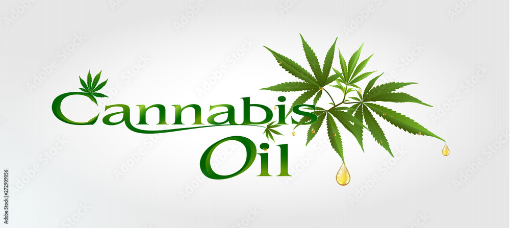 Cannabis or marijauna drop oil medical desing. vector illustration.