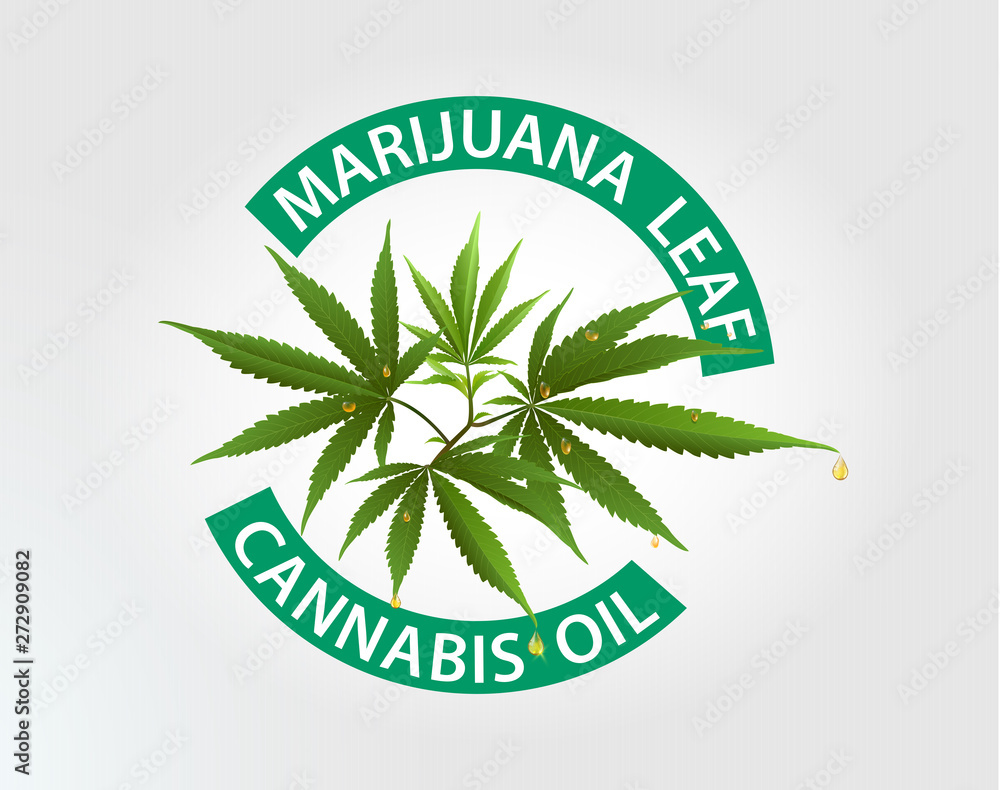 Marijuana plant and cannabis oil drop vector. Marijuana plant and cannabis oil drop vector.