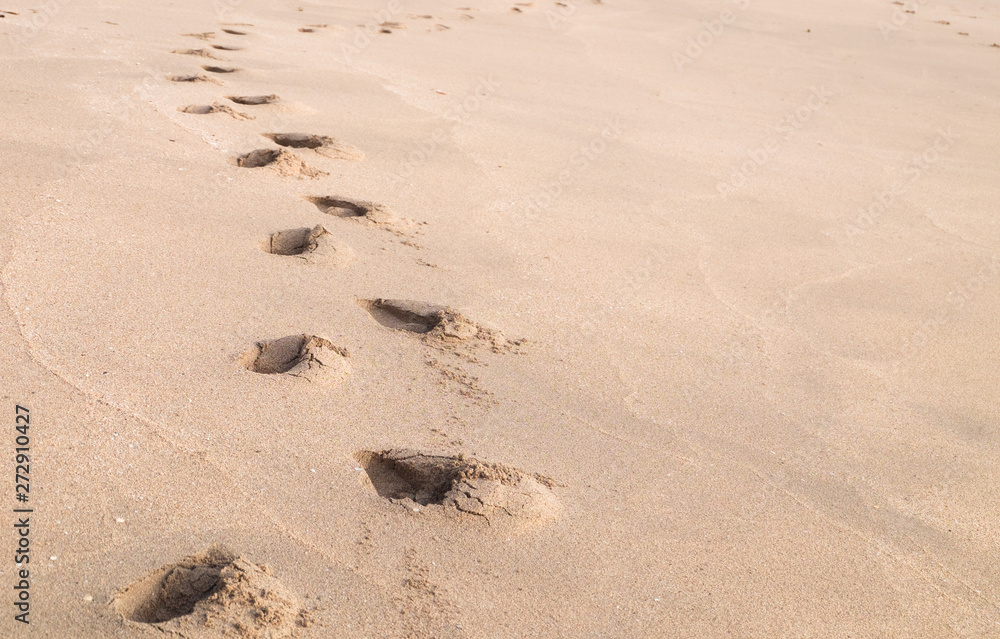 footprints on the beach footprints on the beach