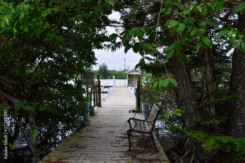 tree covered deck leading to a pier