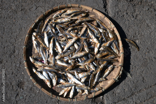 Drying fishes on the street