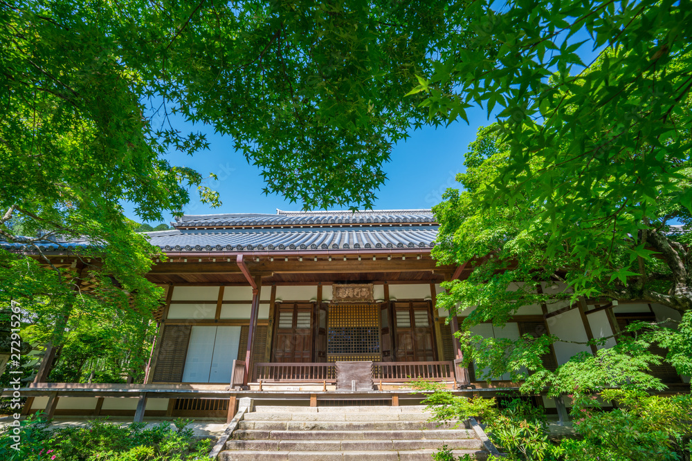 京都　常寂光寺の本堂　新緑