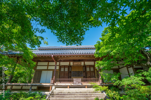 京都 常寂光寺の本堂 新緑