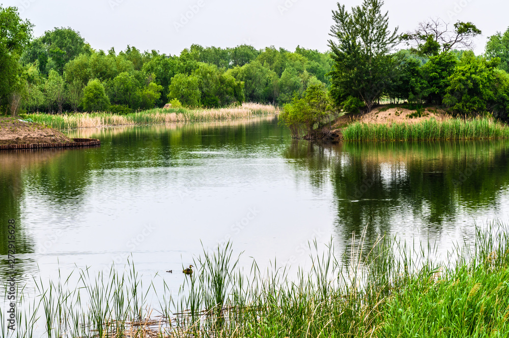 Fototapeta premium Changchun Beihu National Wetland Park