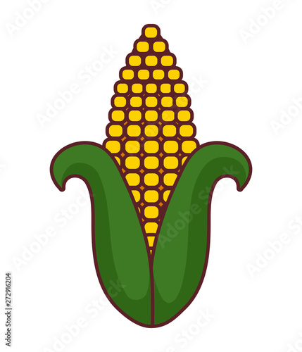 fresh and healthy cob isolated icon