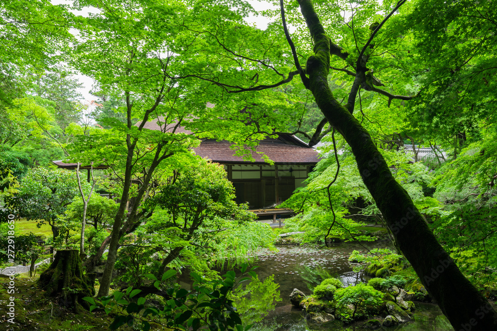 京都 南禅寺 南禅院の新緑 京都 南禅寺 南禅院の新緑