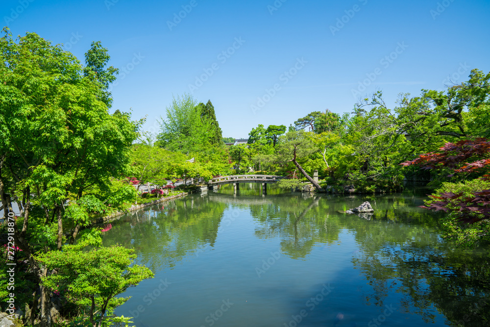 Fototapeta premium 京都 永観堂 新緑