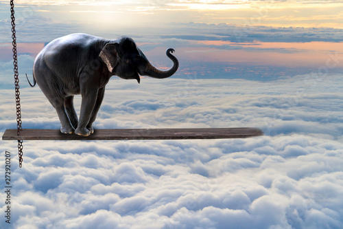 elephant in front of blue sky