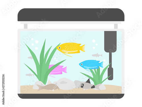 熱帯魚の水槽