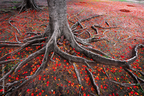 Autumn nature