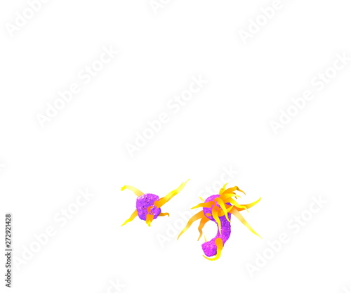 period  full stop  and comma isolated on white made of pink jelly and yellow tentacles - alien font for space invaders concept  3D illustration of symbols