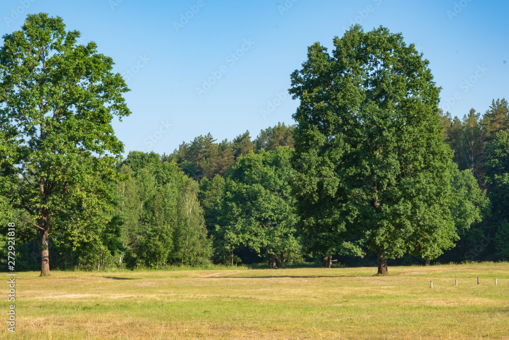 Photography in the evening hour of nature in the summer on a sunny day. Beautiful dawn time. Photography in the evening hour of nature in the summer on a sunny day. Beautiful dawn time.