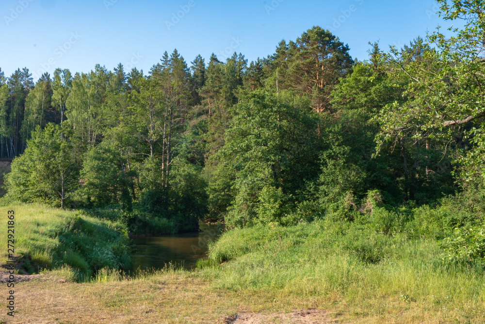 Photography in the evening hour of nature in the summer on a sunny day. Beautiful dawn time. Photography in the evening hour of nature in the summer on a sunny day. Beautiful dawn time.