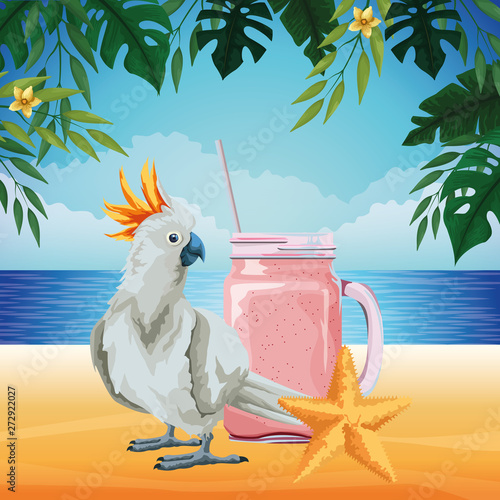 summer beach and vacation cartoon