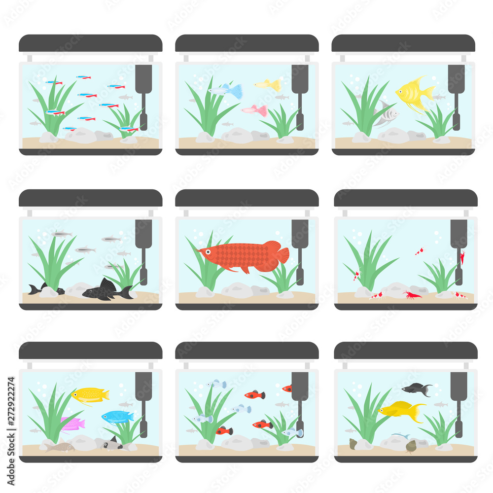 熱帯魚水槽のイラストセット Stock Vector Adobe Stock 熱帯魚水槽のイラストセット Stock Vector Adobe Stock