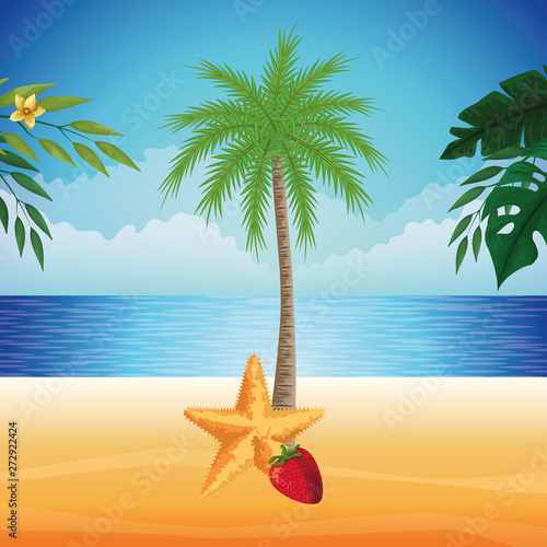 summer beach and vacation cartoon