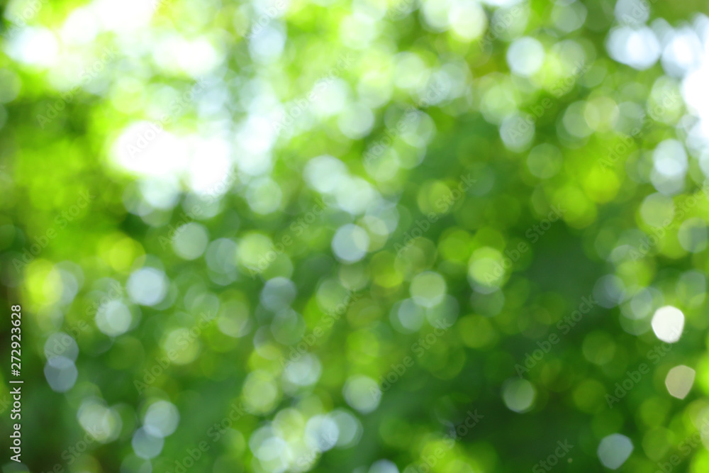 Blurry green circular bokeh cause of defocus of sunlight through the green tree Blurry green circular bokeh cause of defocus of sunlight through the green tree