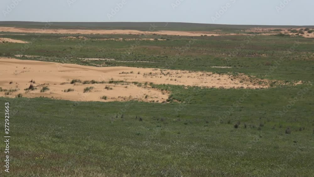 Kalmykia. Steppe. Reserve Kalmykia. Steppe. Reserve