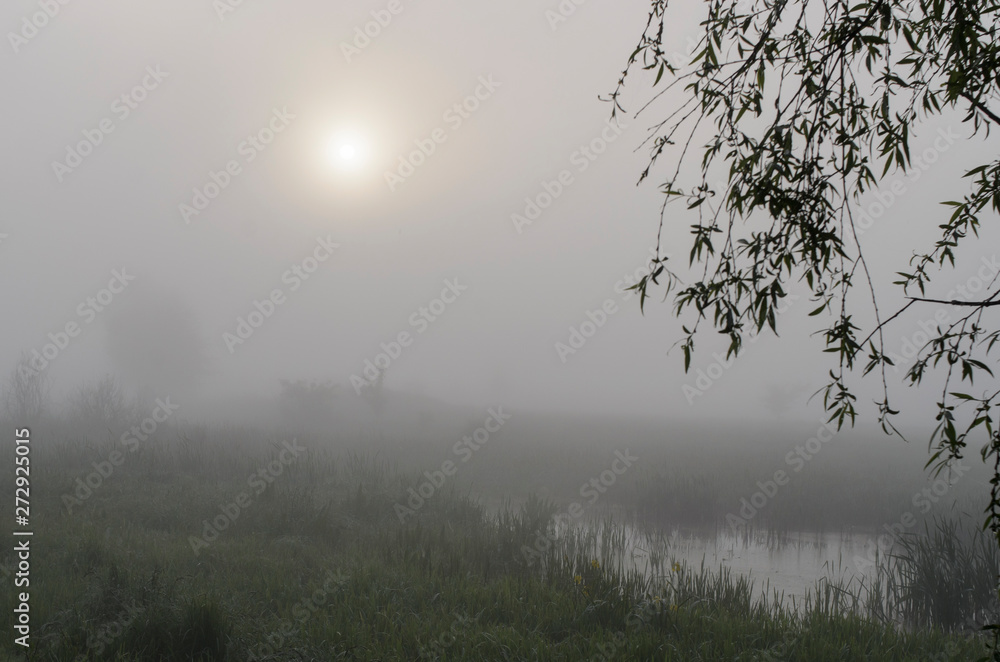 Picturesque fairy sunrise over a misty meadow in summer morning Picturesque fairy sunrise over a misty meadow in summer morning