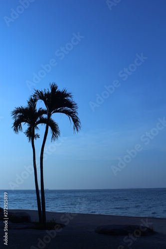 Two palm trees at sunset