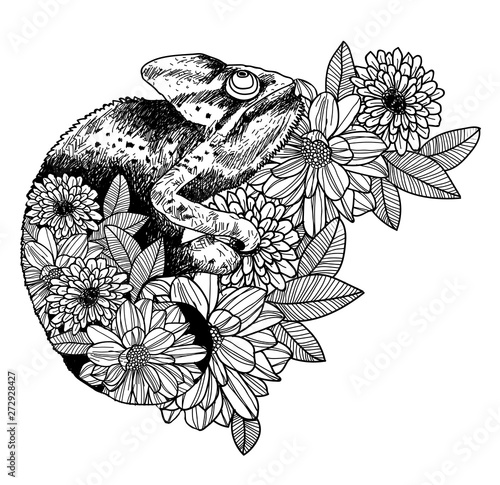 Wallpaper Mural Tattoo art chameleon hand drawing and sketch black and white with line art illustration isolated on white background. Torontodigital.ca