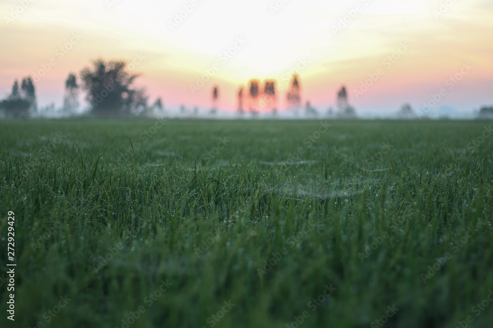 sunset over a field sunset over a field