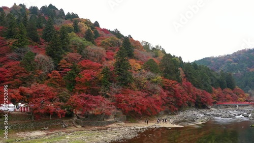 Korankei valley outside Nagoya famous for fall colors. tourists enjoy on waterfall, Taigetsukyo red bridge with red maple trees colorful fall foliage autumn leaf festival at Aichi, Chubu Region, Japan photo