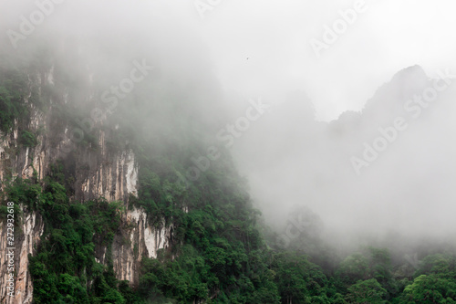 Nature forest and mountain landscape with fog in the morning 