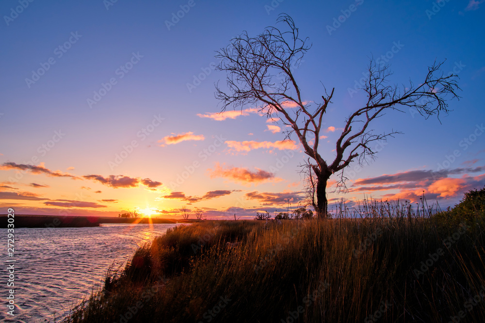 Dramatic sunset in the background of a landscape of a tree in a field on the shore of a small rural lake. Dramatic sunset in the background of a landscape of a tree in a field on the shore of a small rural lake.