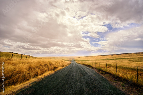 Diminishing perspective of a rural country road passing through ranch pasture land covered in tall brown grass and barbed wire fences with clouds overhead.