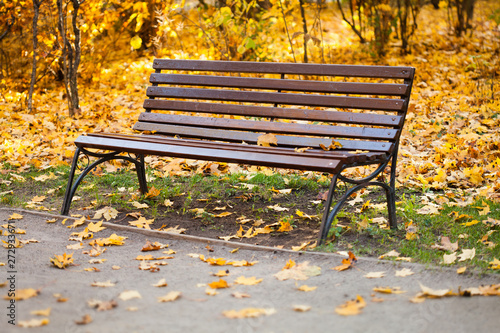 Fall in the park. Vintage wooden bench and yellow maple leaves background