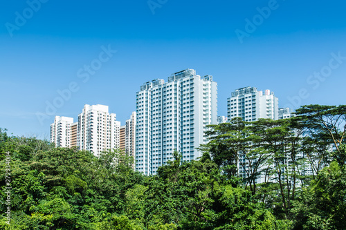 Singapore HDB residential building in green forest skyline © dongli