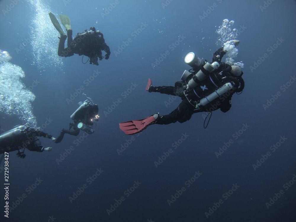 custom made wallpaper toronto digitalDCIM\100GOPRO\GOPR0479.JPG