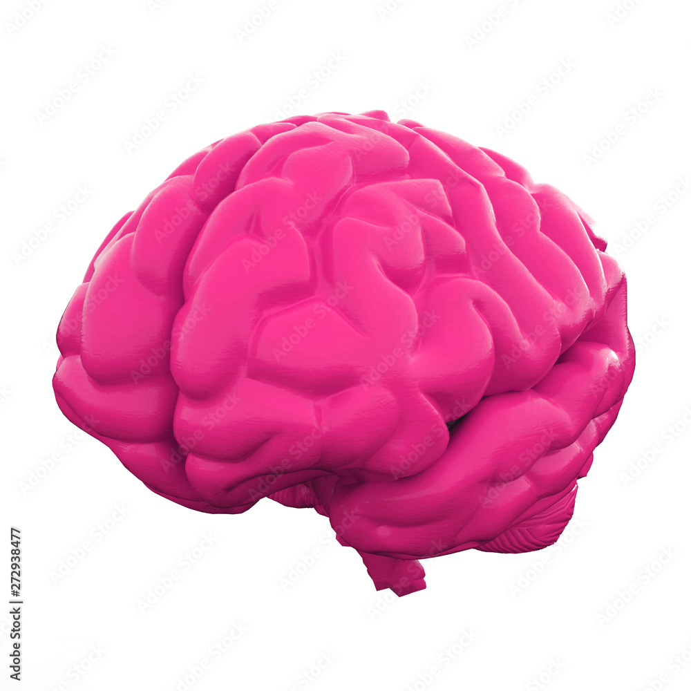 Pink Human brain isolated on white background. 3d illustration Pink Human brain isolated on white background. 3d illustration
