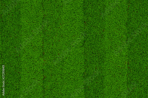 Green grass soccer field background