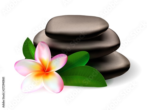 plumeria flower leaves and spa massage stone