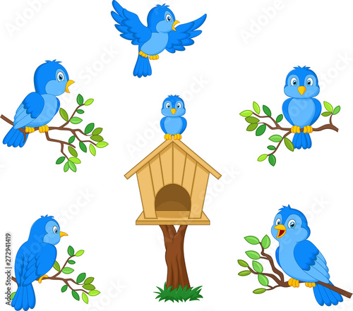 Set of cartoon blue bird on white background