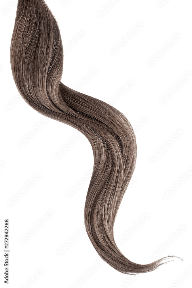 Brown hair isolated on white background. Long wavy ponytail Brown hair isolated on white background. Long wavy ponytail