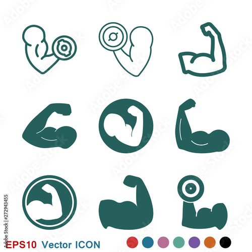 Biceps icon, muscle strength or power vector icon