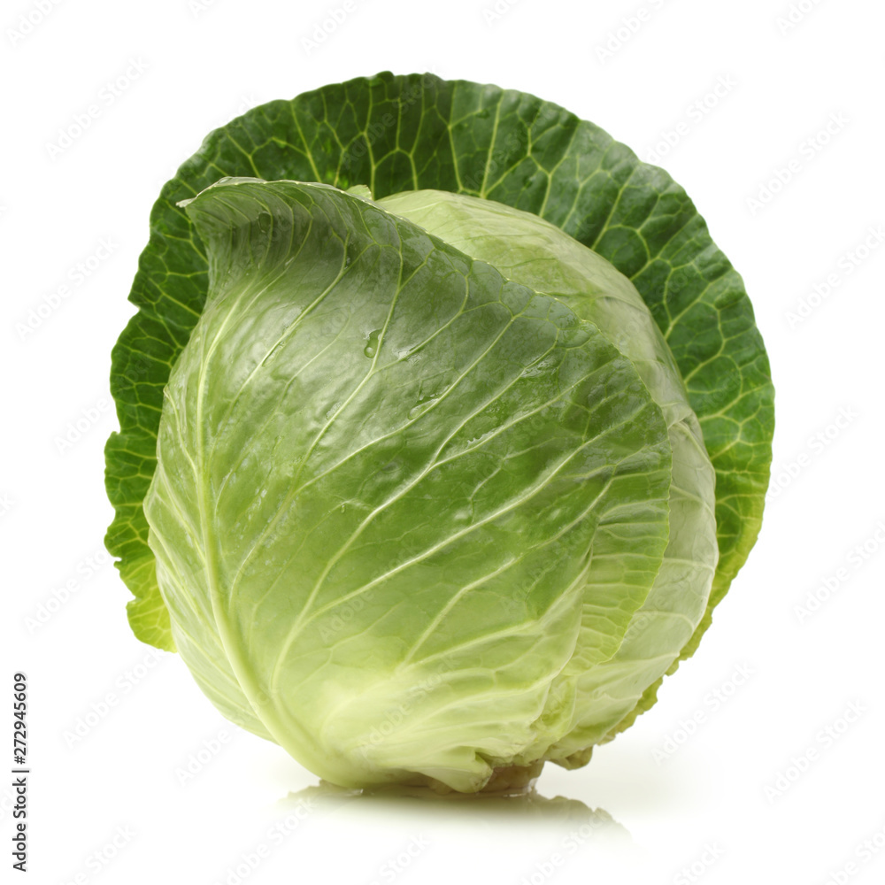 Fototapeta premium cabbage on white background