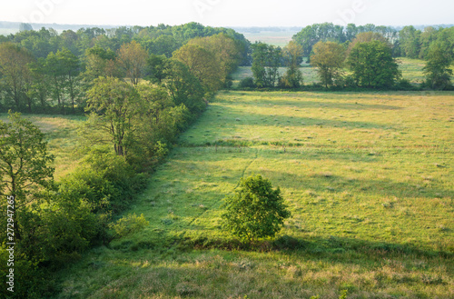 Podobny obraz