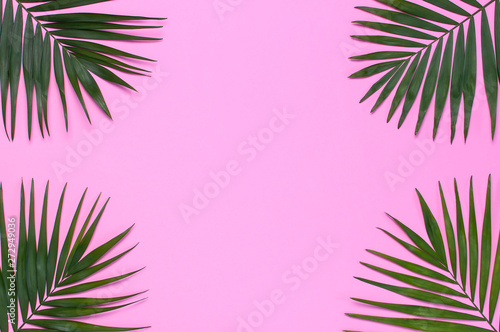 Frame of tropical palm leaves on pastel pink background. Flat lay, top view, copy space. Summer background, nature. Creative minimal background with tropical leaves. Leaf pattern