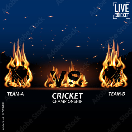Cricket championship with ball,VS, Trophy and stadium. -vector illustration - Vector