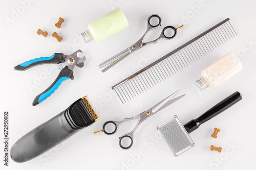 grooming equipment for animals and treats like bones, flat lay