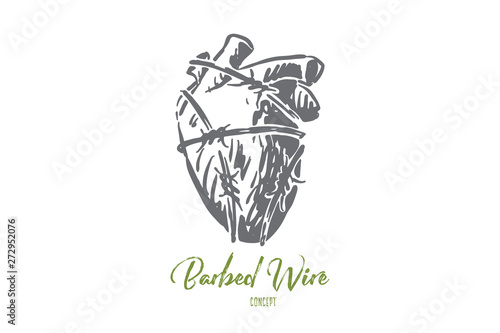 Human heart in barbed wire, blood pumping organ wrapped by cable with sharp thorns