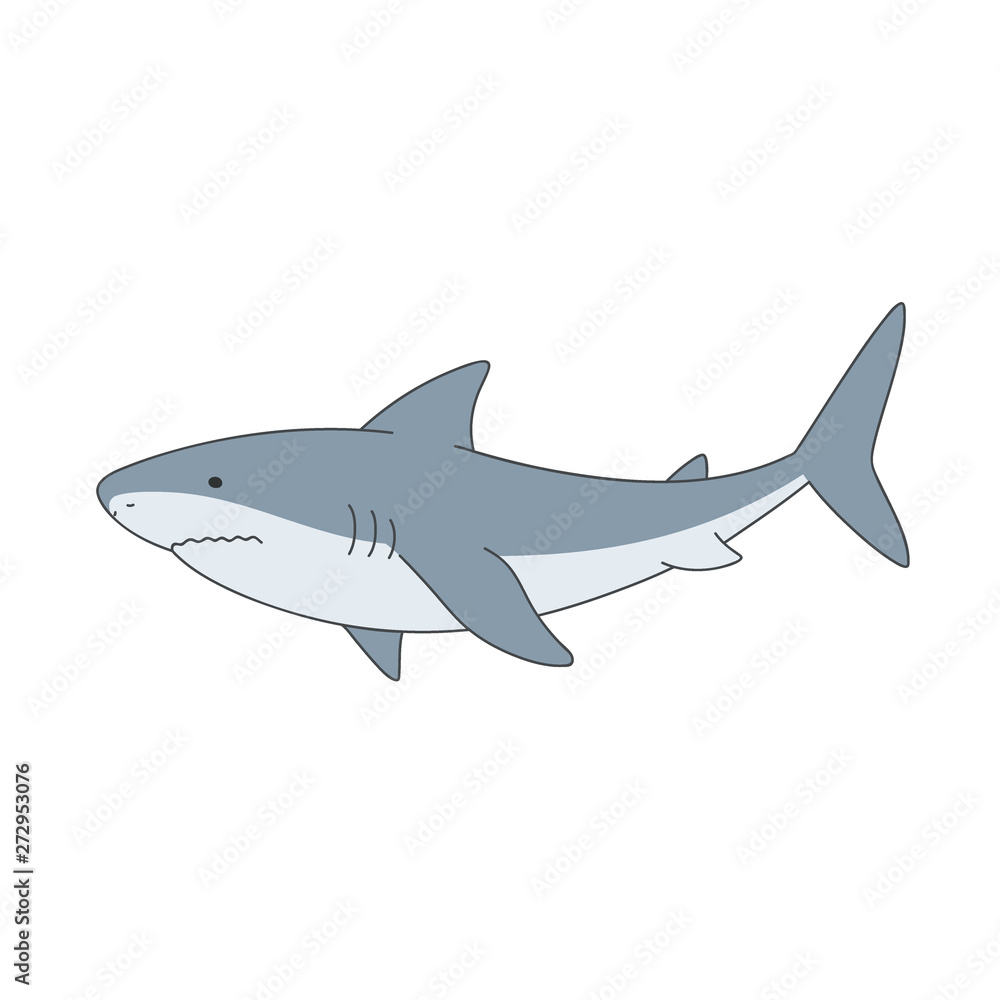 Fototapeta premium Isolated gray shark on white background. Sea animal, fish. Colorful flat shark.