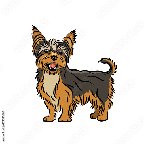 Yorkshire terrier dog - isolated vector illustration - Vector
